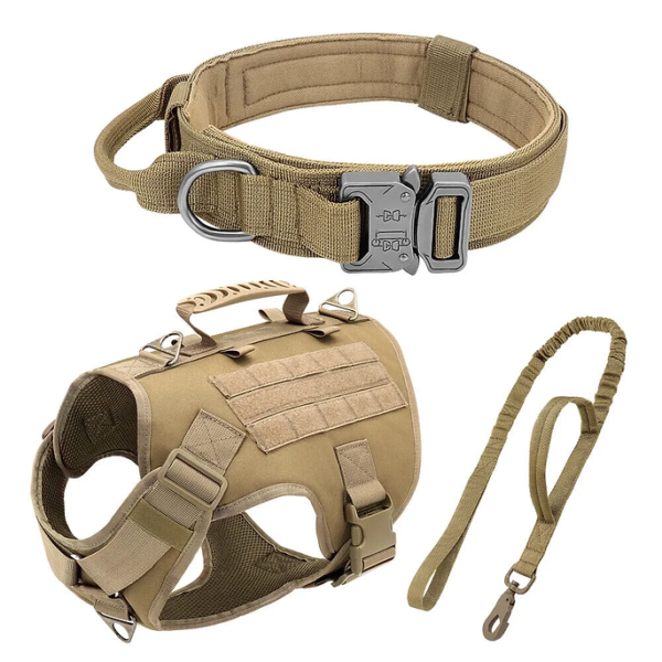 "Tactical Dog Harness Accessory Set with military collar, adjustable harness, and nylon bungee leash designed for training and outdoor activities."