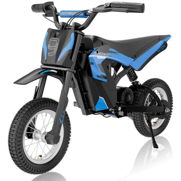 24V Electric Dirt Bike, 300W Electric Motorcycle 12.5MPH Max Speed, Ride on